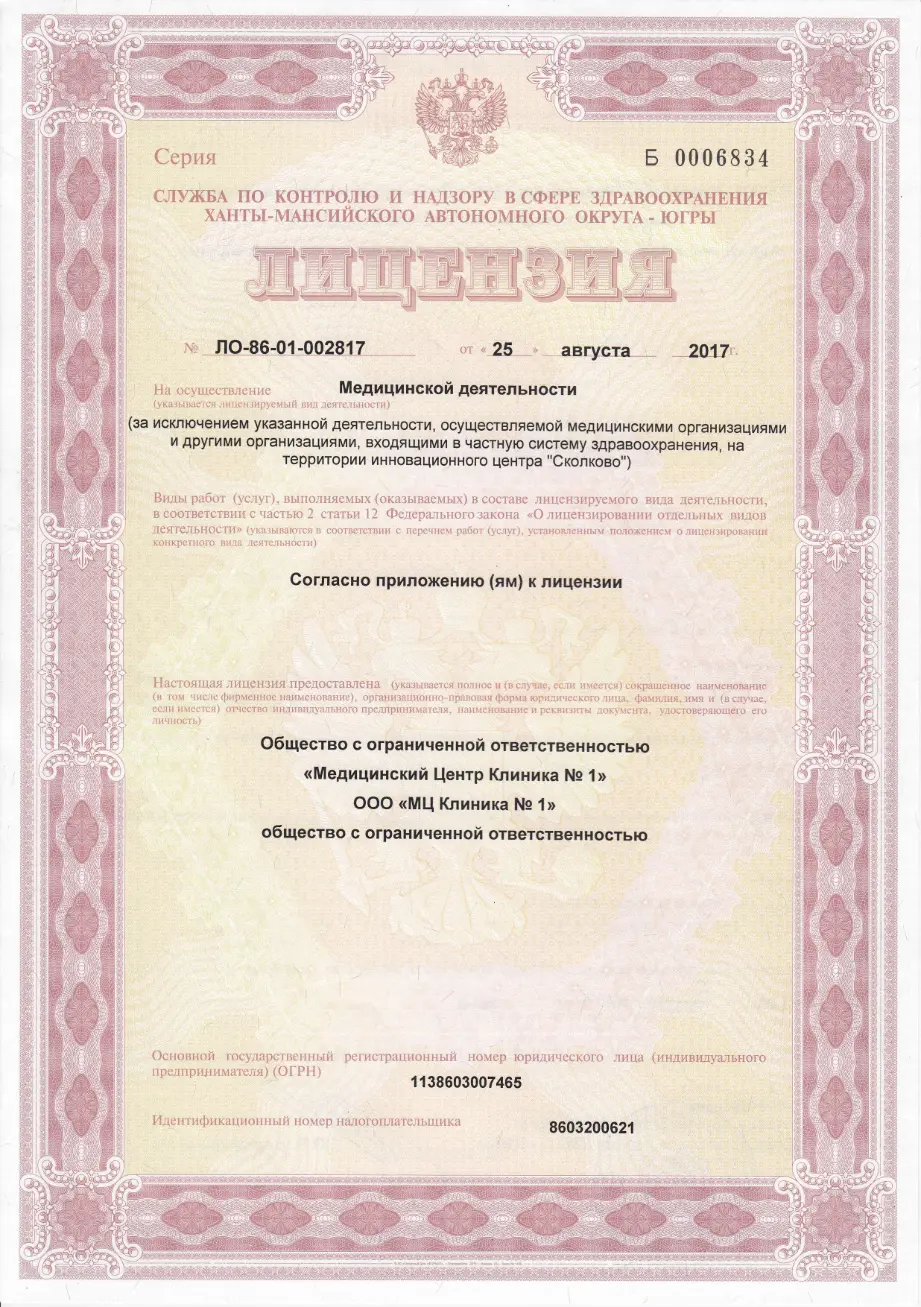 Лицензия 6